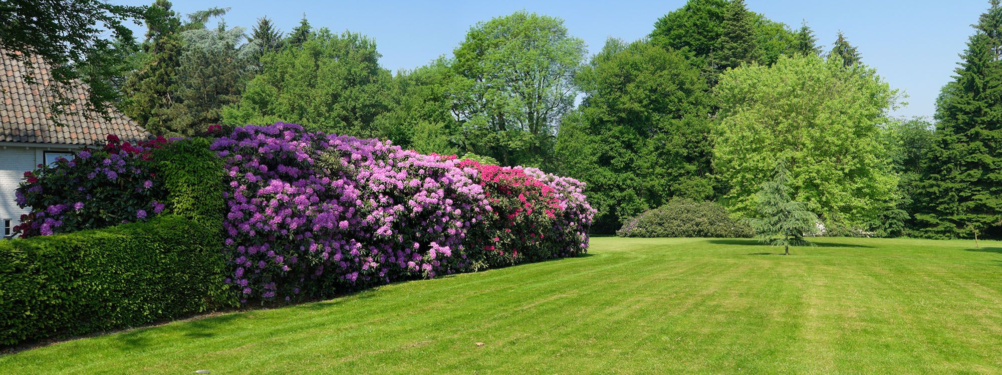 Garden Maintenance Nottingham